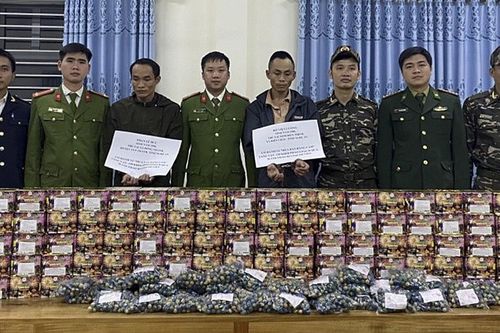Nghệ An: Thu giữ 1,5 tạ pháo nổ từ Lào vào Việt Nam