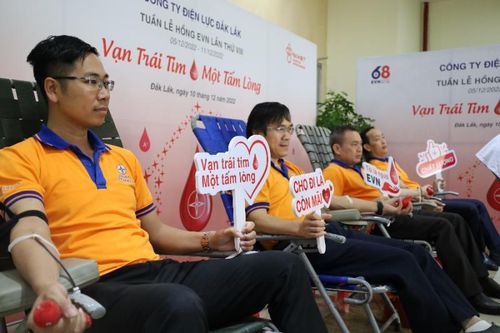 PC Đắk Lắk: Tổ chức thành công chương trình 'Tuần lễ hồng EVN lần thứ VIII'