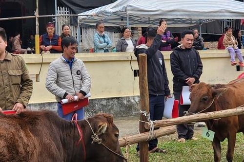 'Hành trình biên cương xanh' trao quà cho các hộ nghèo tại huyện Hà Quảng, Cao Bằng