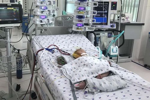 Bé 7 tháng tuổi co giật liên tục khi mắc sốt xuất huyết