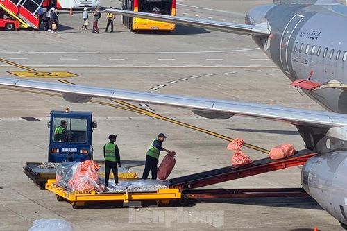 Kiểm soát chặt vận chuyển sau khởi tố vụ buôn lậu qua chuyến bay giải cứu