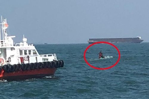 Va chạm với tàu hàng, sáu ngư dân trên tàu cá gặp nạn
