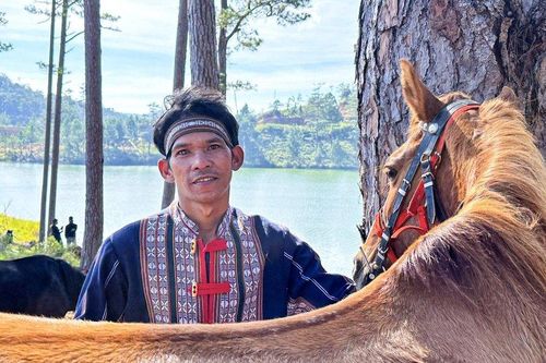 Lâm Đồng: Ấn tượng giải đua ngựa không yên của những chàng trai K'Ho