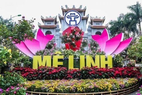 Hà Nội: 'Mê Linh rực rỡ sắc hoa' đón gần 100 nghìn du khách ghé thăm