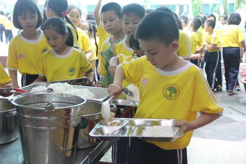 TP Hồ Chí Minh: Kiểm tra hàng nghìn bếp ăn, căn tin trường học