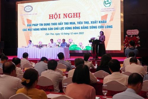 Thúc đẩy tín dụng hỗ trợ xuất khẩu nông sản cho Đồng bằng sông Cửu Long