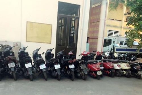 Điều tra án 'dơi gắp mồi' ở huyện miền núi Sơn La