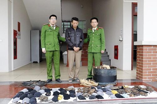 Bắt đối tượng vận chuyển 75 cá thể rùa quý hiếm đi tiêu thụ
