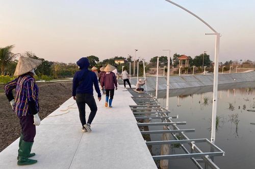 Buộc tháo dỡ công trình xây dựng trái phép trên 16.500m2 đất nông nghiệp An Dương