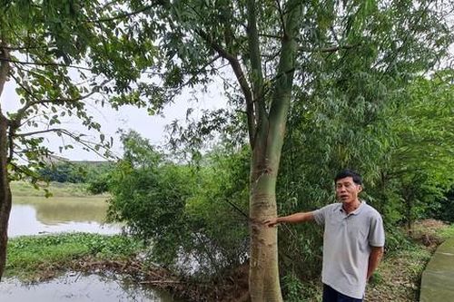 Bờ sông sạt lở nghiêm trọng, dọa 'nuốt' 29 hộ dân ở Quảng Ngãi