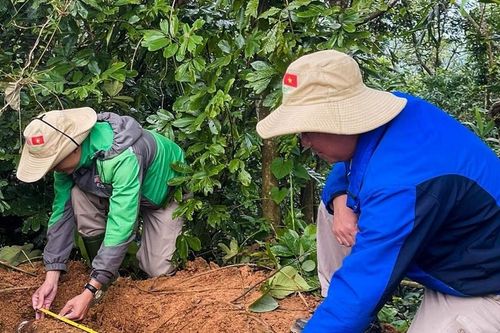 Quảng Trị: Tá hỏa phát hiện quả bom khi làm rẫy