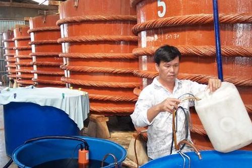 Nghề làm nước mắm Phú Quốc trở thành di sản văn hóa phi vật thể quốc gia