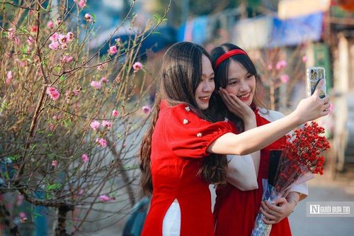 Thiếu nữ Hà Thành khoe sắc bên hoa đào đầu mùa nở sớm