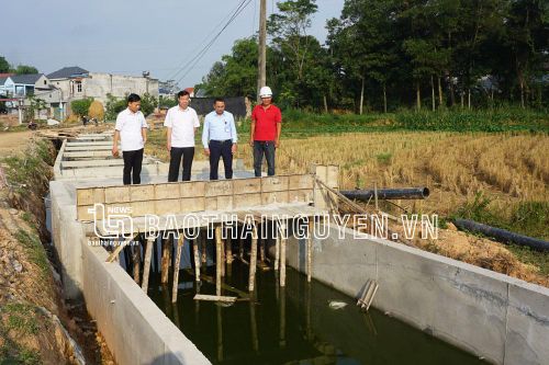 Đầu tư công trình thủy lợi phục vụ sản xuất