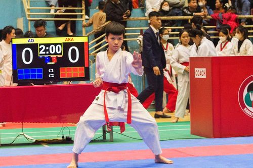 Khai mạc Giải câu lạc bộ Taekwondo, Vovinam, Karate tỉnh Thái Nguyên