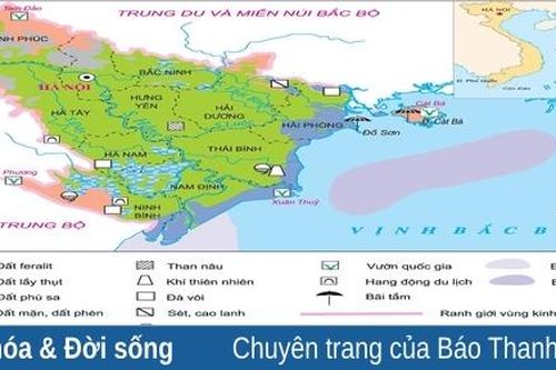 Những con số già nua
