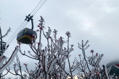 Băng giá phủ trắng trên cung đường lên đỉnh Fansipan
