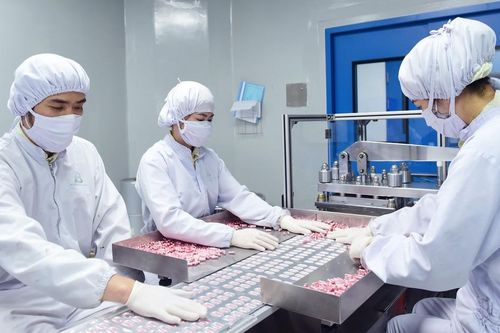Thiếu nhạc trưởng phát triển ngành dược - Chậm nhịp, yếu thế