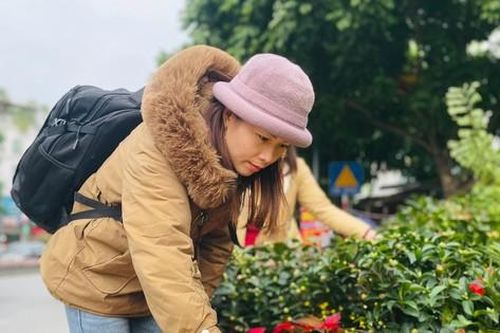 Chợ hoa Hoàng Hoa Thám rực rỡ, náo nhiệt mùa cận Tết