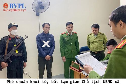 Phê chuẩn bắt tạm giam Chủ tịch xã và Kiểm lâm viên tiếp tay cho 'lâm tặc'