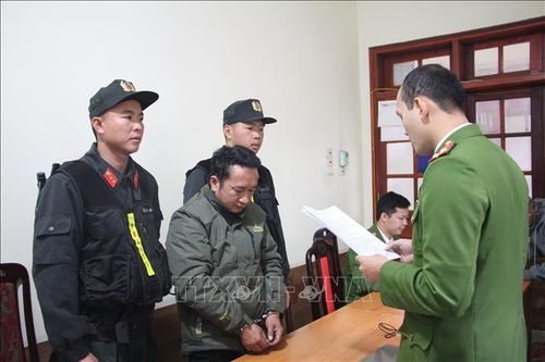 Vụ phá rừng phòng hộ trên đèo Pha Đin: Bắt tạm giam Chủ tịch UBND xã Tỏa Tình