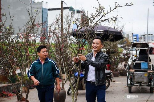 Hoa rừng xuống phố Hà Nội, giá cao vẫn hút khách sắm Tết sớm