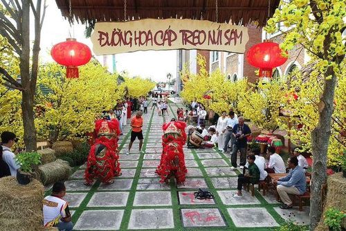 An Giang: Khai trương đường hoa mai, phố đi bộ và hàng loạt điểm check in ấn tượng nhân dịp Tết Dương lịch, tại Khu Du lịch cáp treo núi Sam TP. Châu Đốc