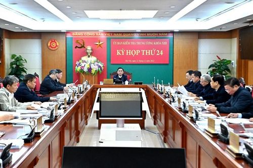 Đề nghị xem xét kỷ luật Bộ trưởng Ngoại giao Bùi Thanh Sơn