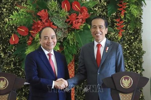 Đưa hợp tác Việt Nam-Indonesia phát triển ngày càng sâu rộng, thực chất