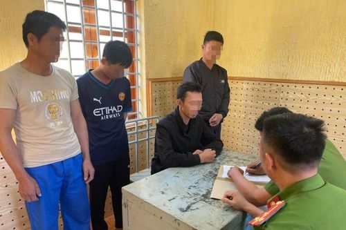 Đắk Lắk: Triệt phá đường dây trồng, tàng trữ, mua bán cần sa liên tỉnh quy mô lớn