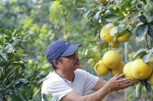 Đưa đặc sản vùng miền, nông sản Việt lên chợ công nghệ