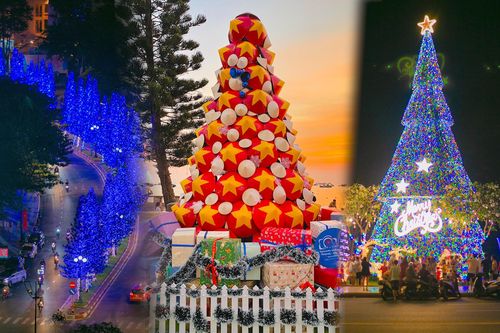 90 cây tùng bách thắp đèn từ gốc đến ngọn, Vũng Tàu rực sáng đón Noel