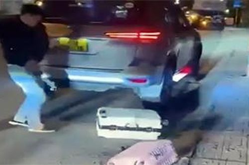 Đà Lạt lên tiếng vụ nữ du khách bị tài xế taxi văng tục, ném hành lý xuống đường