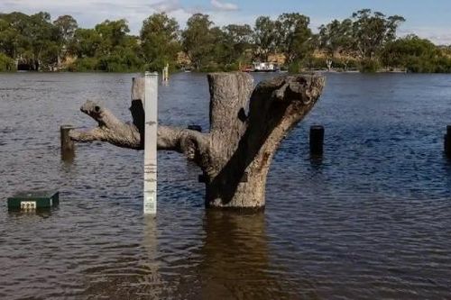 Bang Nam Australia đối mặt lũ lụt nghiêm trọng nhất trong hơn 60 năm