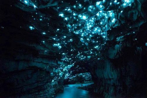 Từ 'bom tấn' Avatar 2 khán giả thích thú với những địa điểm có thật trên Trái Đất