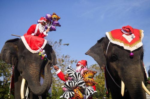 Ông già Noel cưỡi voi dạo khắp phố, hàng nghìn trẻ em thích thú nhận quà
