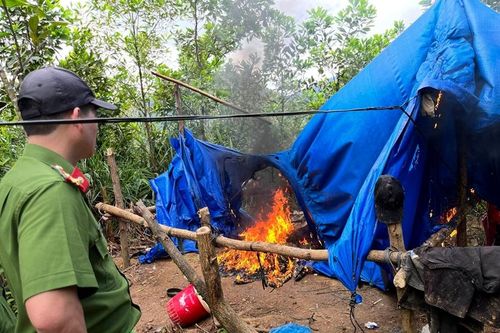 Truy quét, phá hủy 17 lán trại của các đối tượng khai thác vàng trái phép
