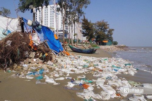 Hình ảnh bãi biển đẹp nhất miền Bắc trước nguy cơ bị 'nuốt chửng'