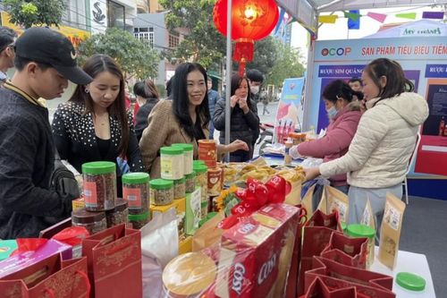 Quảng Bình: Dự báo sức mua trong dịp Tết Nguyên đán 2023 tăng khoảng 7-10%