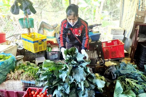 Giá rau xanh đắt đỏ như thịt khó hạ nhiệt vào cuối năm?