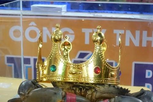 Tìm ra cua Cà Mau lớn nhất với trọng lượng 'khủng'