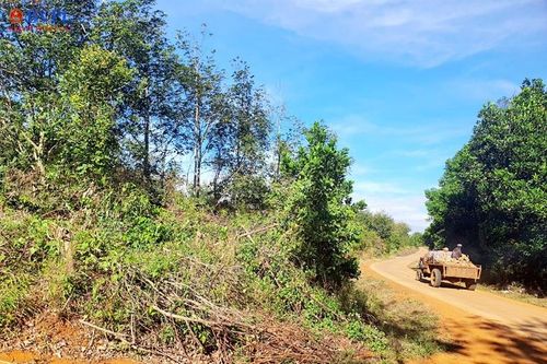 Phát hiện nhiều sổ đỏ cấp cho người dân chồng lên đất rừng ở Đắk Nông