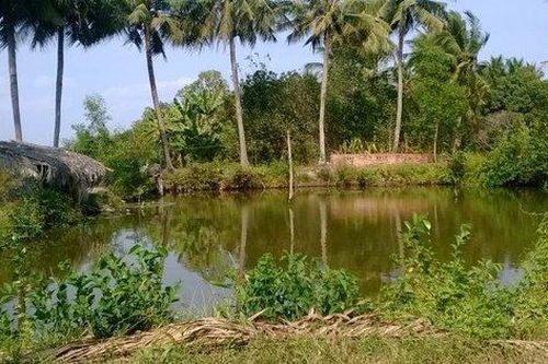 Chuyển đất ao làm quán bán hàng có được không?
