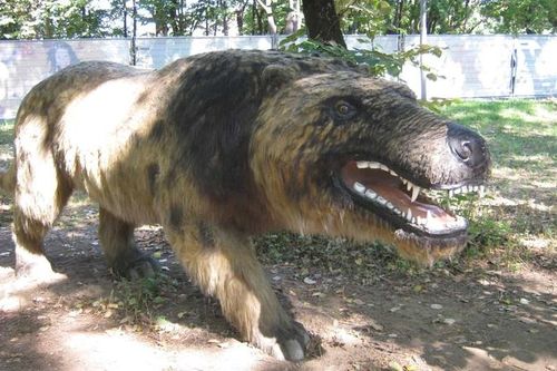 Andrewsarchus: Một trong những loài thú ăn thịt đáng sợ nhất từng tồn tại