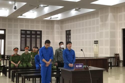 Đà Nẵng: Bảo lãnh chuyên gia 'dỏm' ở lại Việt Nam trái phép bị phạt 20 năm tù