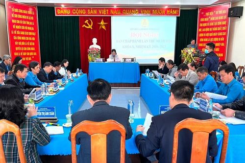 Liên đoàn Lao động tỉnh Gia Lai đạt và vượt nhiều chỉ tiêu năm 2022