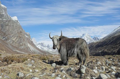 Điều gì xảy ra nếu Everest tan chảy