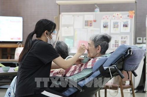 Nhật Bản 'mở cửa' đón ứng viên hộ lý, điều dưỡng Việt Nam - Bài 1: Hộ lý, điều dưỡng lên ngôi