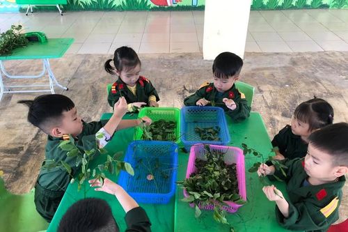 Sau nhà hàng, khách sạn, thêm loạt trường học ở Móng Cái 'trốn' dùng nước sạch