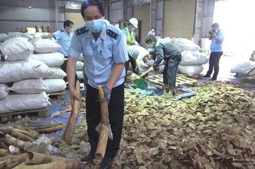 Cục Hải quan Đà Nẵng phát hiện, bắt giữ nhiều vụ vận chuyển hàng cấm